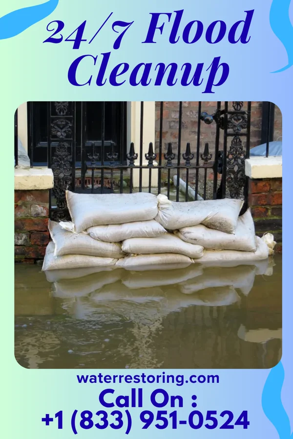 24/7 Flood Cleanup in Malone, TX