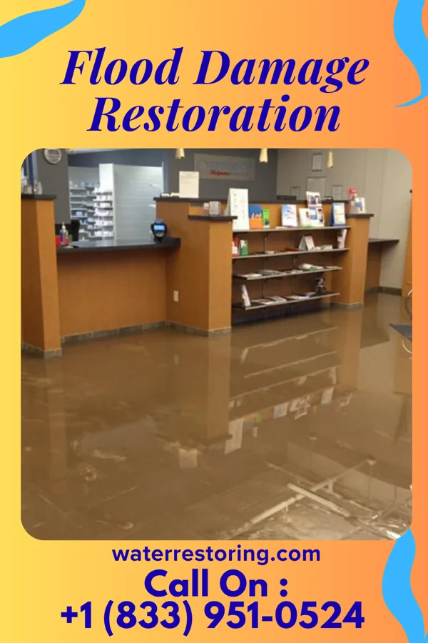 Flood Damage Restoration in Malone, TX