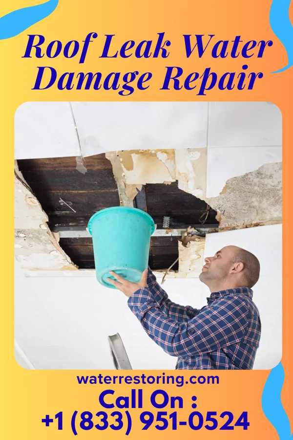 Roof Leak Water Damage Repair in Malone, TX